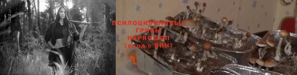 спайс Армянск