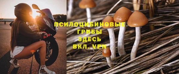кокс Аркадак