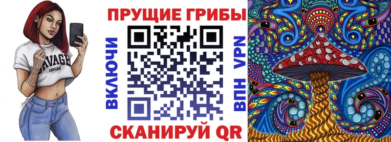 Галлюциногенные грибы Psilocybe  где продают   Чадан 
