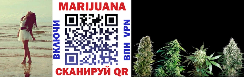 Канабис план  Чадан 